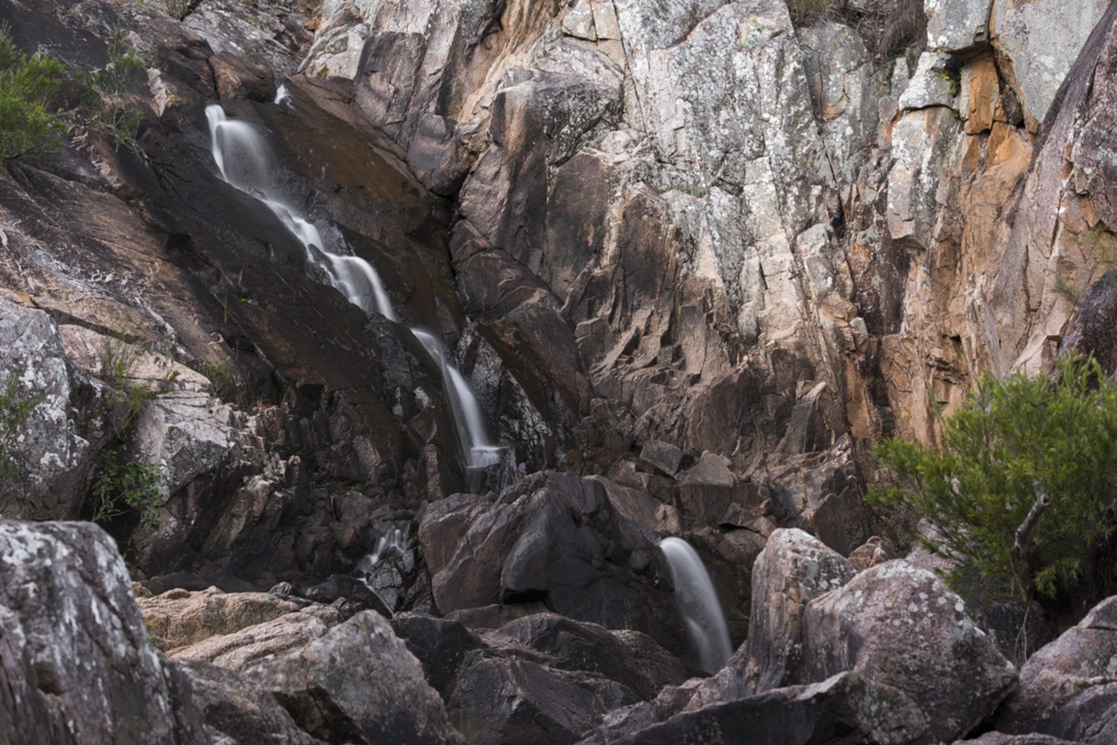An image depicting the trail Crows Nest Falls Lookout Track and its surrounding area.
