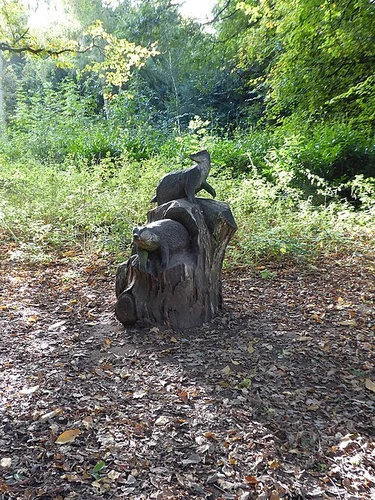 Apley Woods and Pool Loop