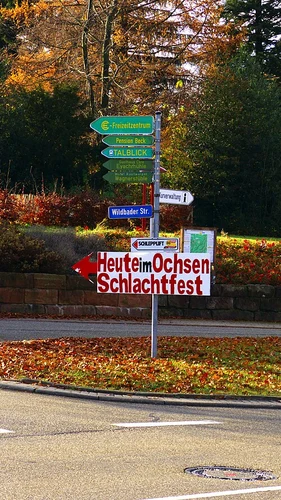Dobel Loop via Mannenbachheide