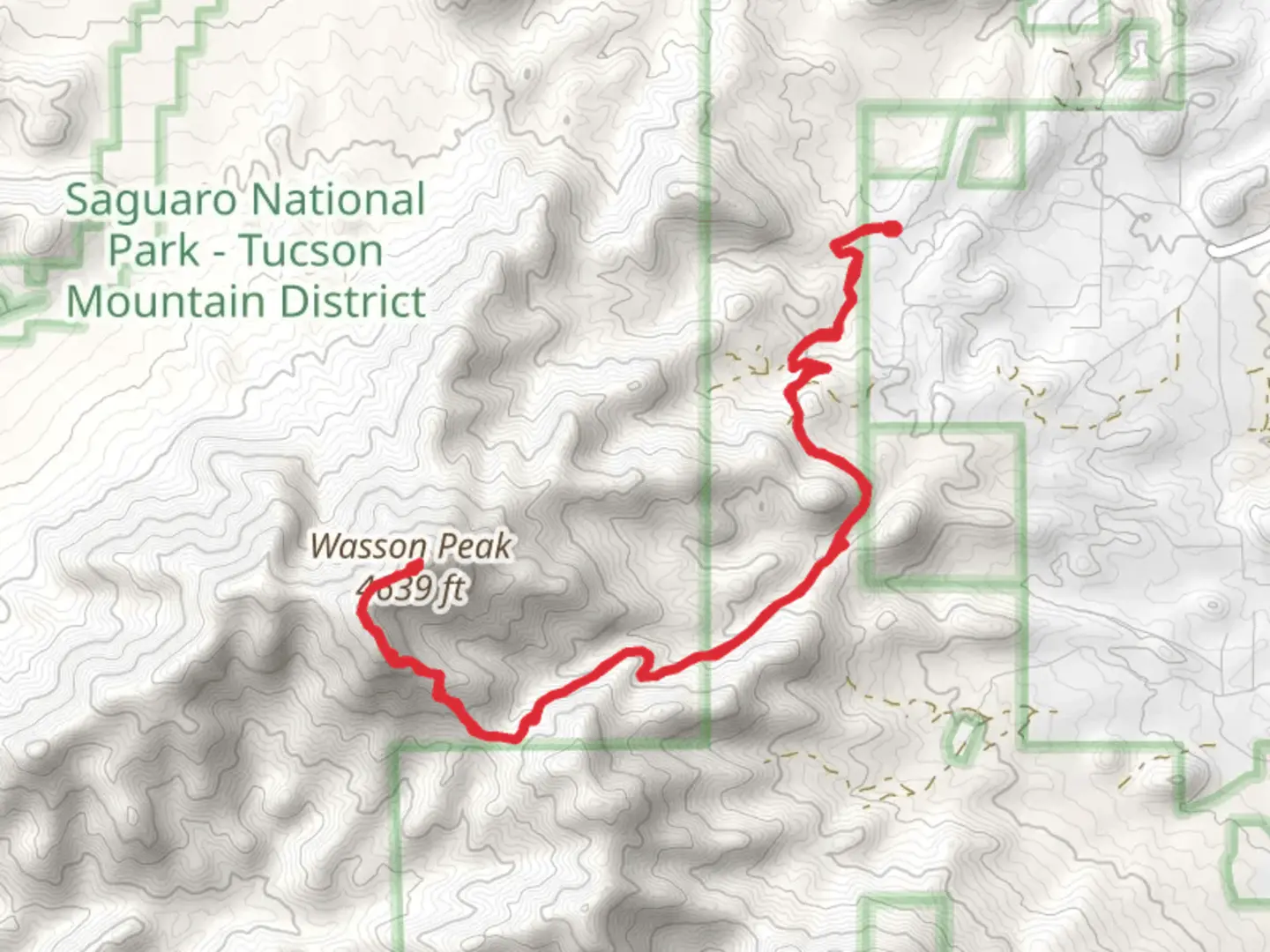 An image depicting the trail Wasson Peak via Sweetwater Trail and its surrounding area.