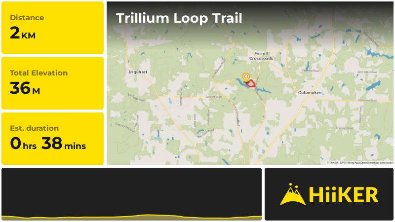 Trillium Loop Trail | Early County | Georgia