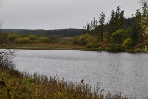 Belcoo to Belleek Including Lougah Navar Forest