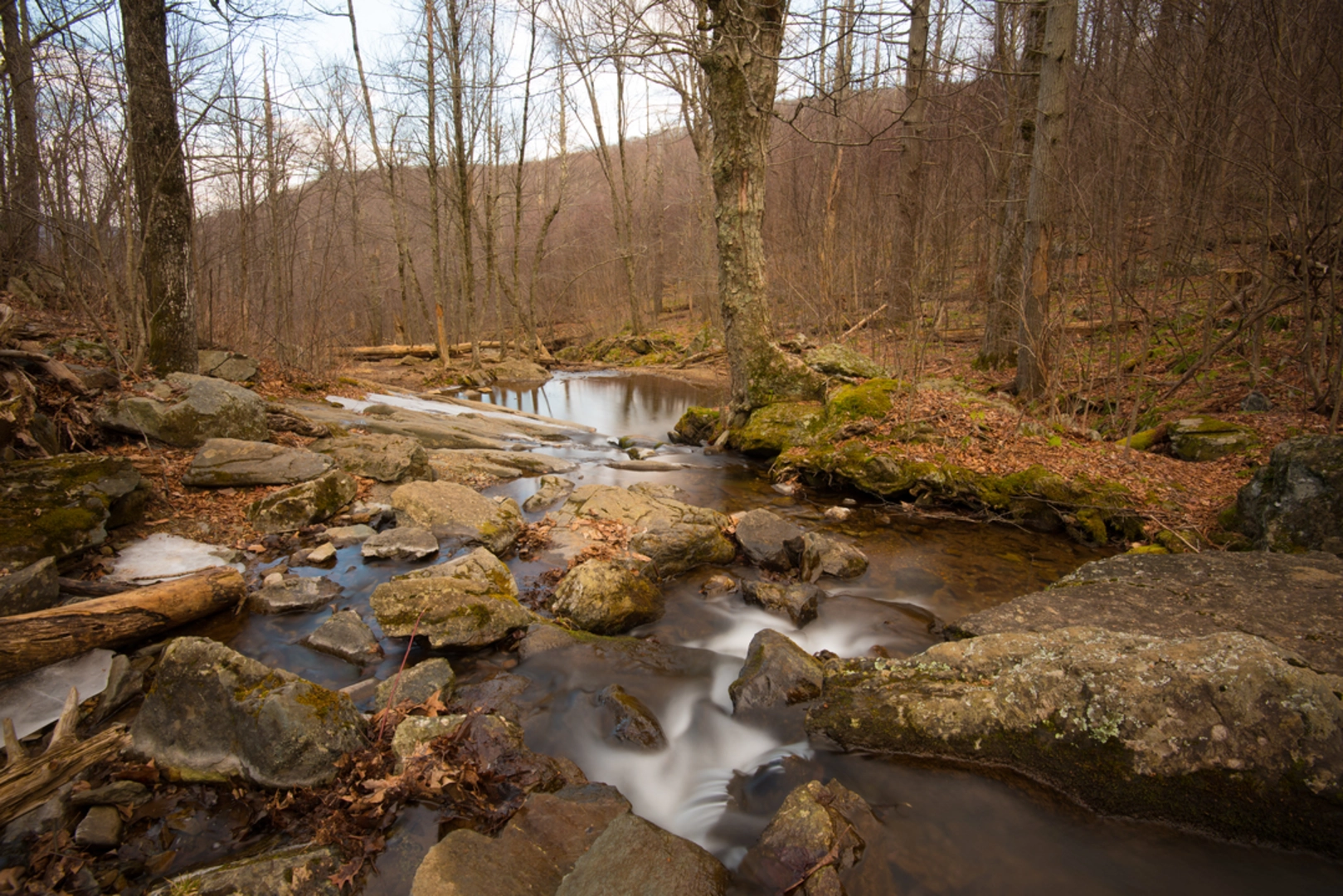 An image depicting the trail Dark Hollow Falls Trail and its surrounding area.