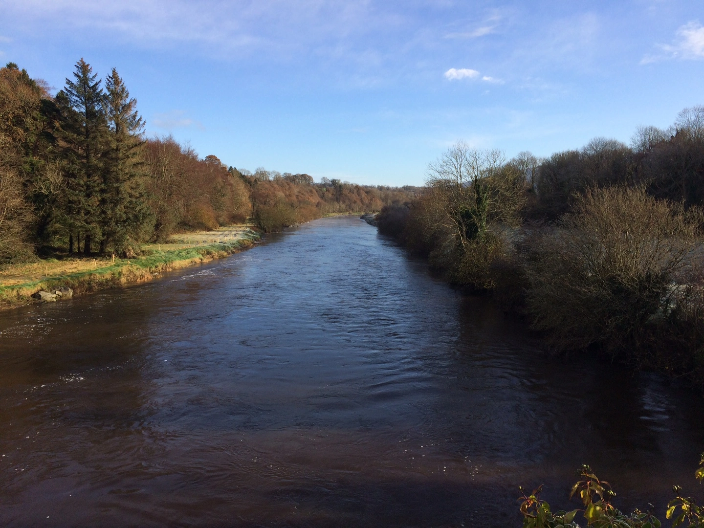 An image depicting the trail Kilkenny to Bennettsbridge Loop - Nore Valley Walk and its surrounding area.