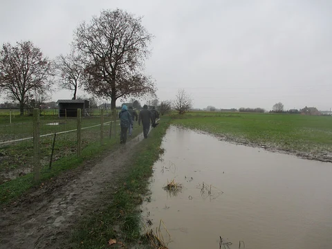 Beukendreef and and Hoofddreef via Ossendrechtse Duinen