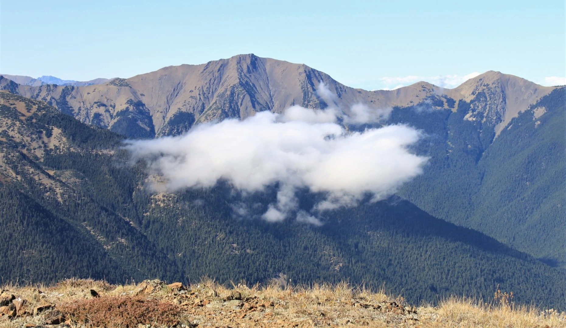 An image depicting the trail Upper Gray Wolf Trail and its surrounding area.