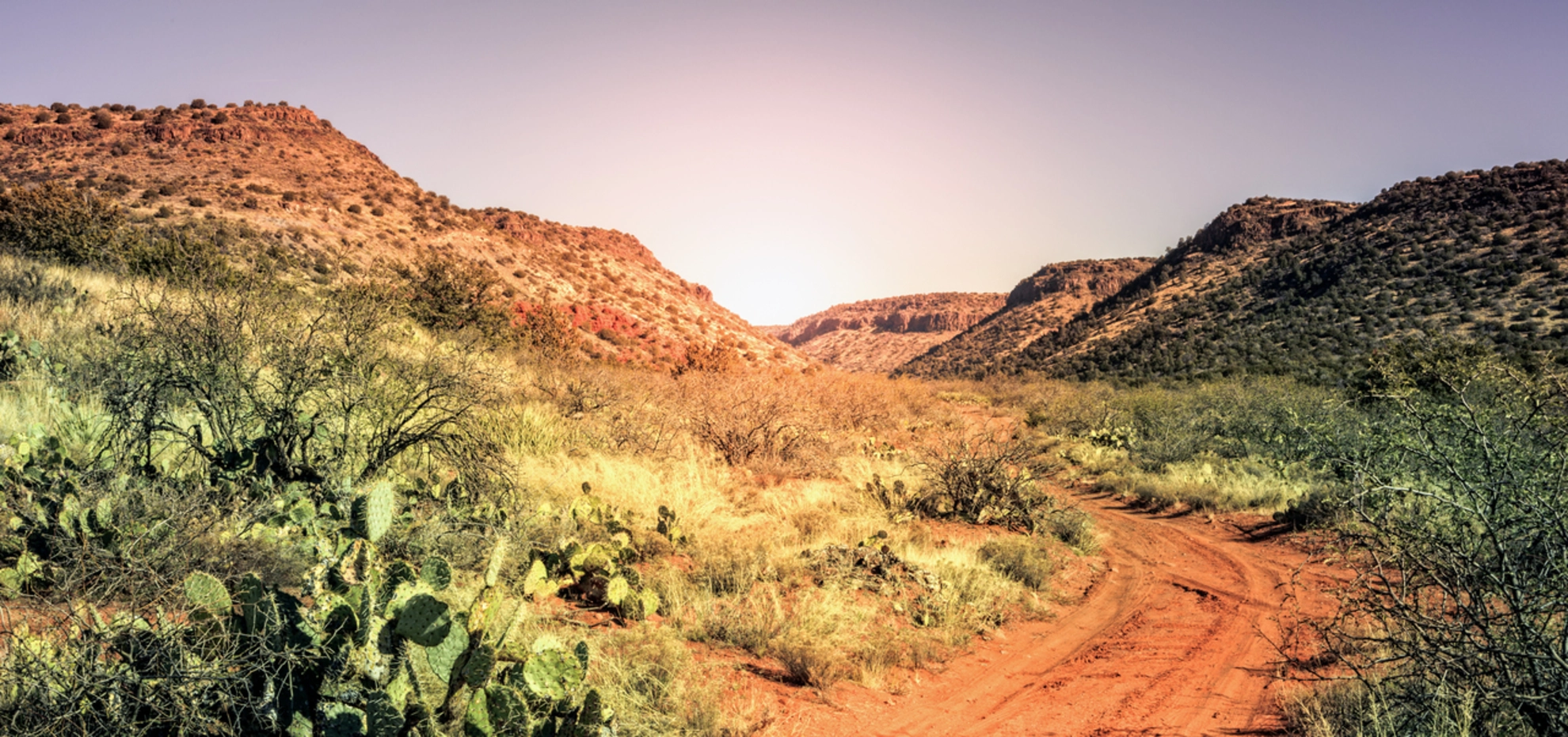 An image depicting the trail Bill Ensign Trail and its surrounding area.