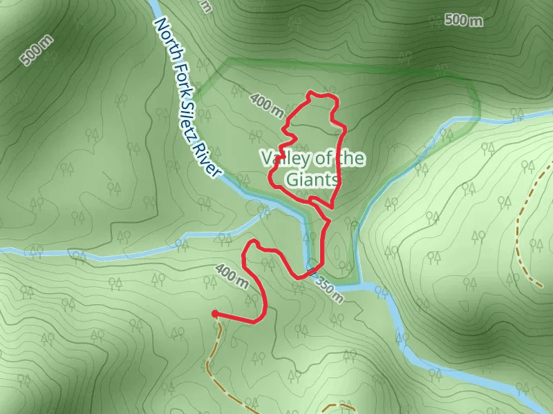 Valley of the Giants Loop