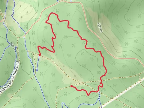 FJ Trail