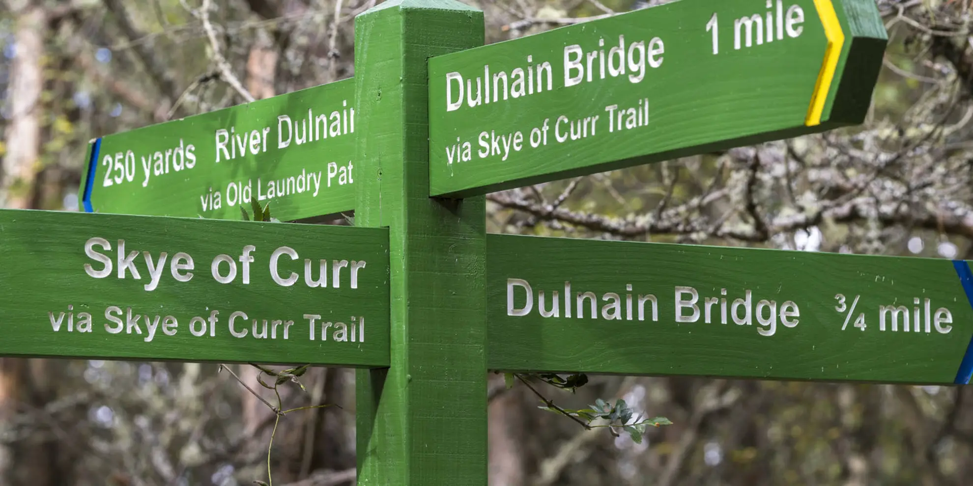 An image depicting the trail Dulnain Bridge Path - Skye of Curr Trail and its surrounding area.