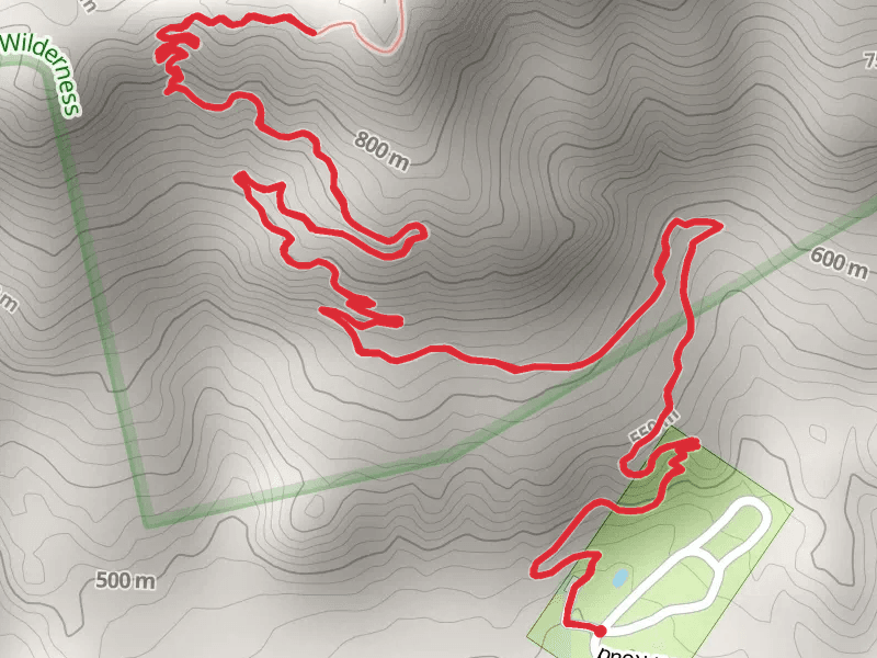 Stone Mountain Trail
