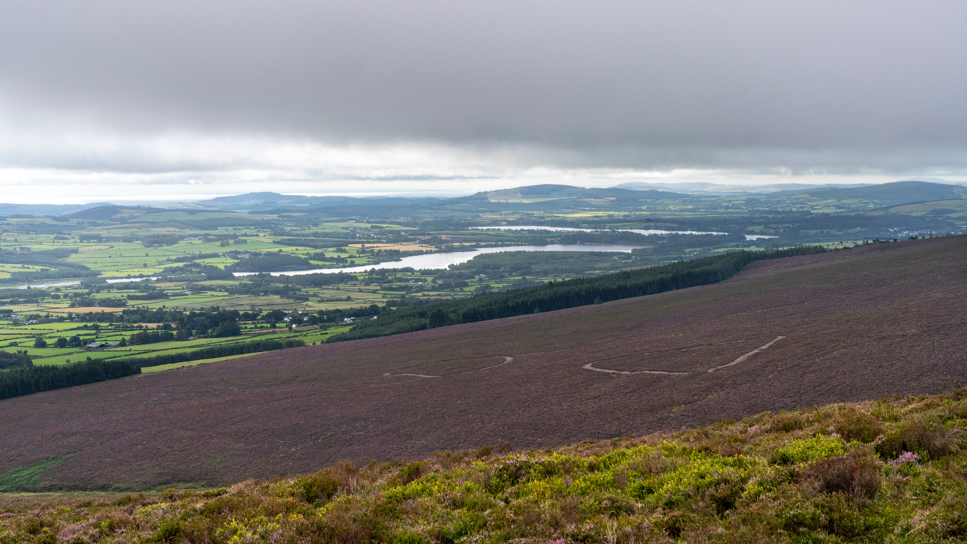 An image depicting the trail Roundwood Reservoir Upper Vartry Trail and its surrounding area.