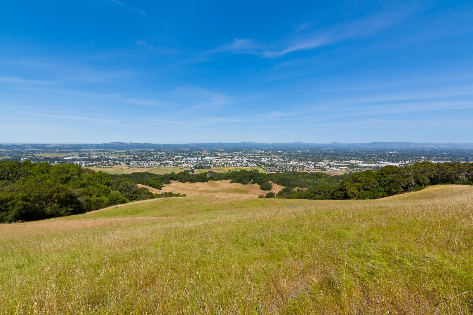 An image depicting the trail Redtail, Western Route and Taylor Mountain Loop Trail and its surrounding area.