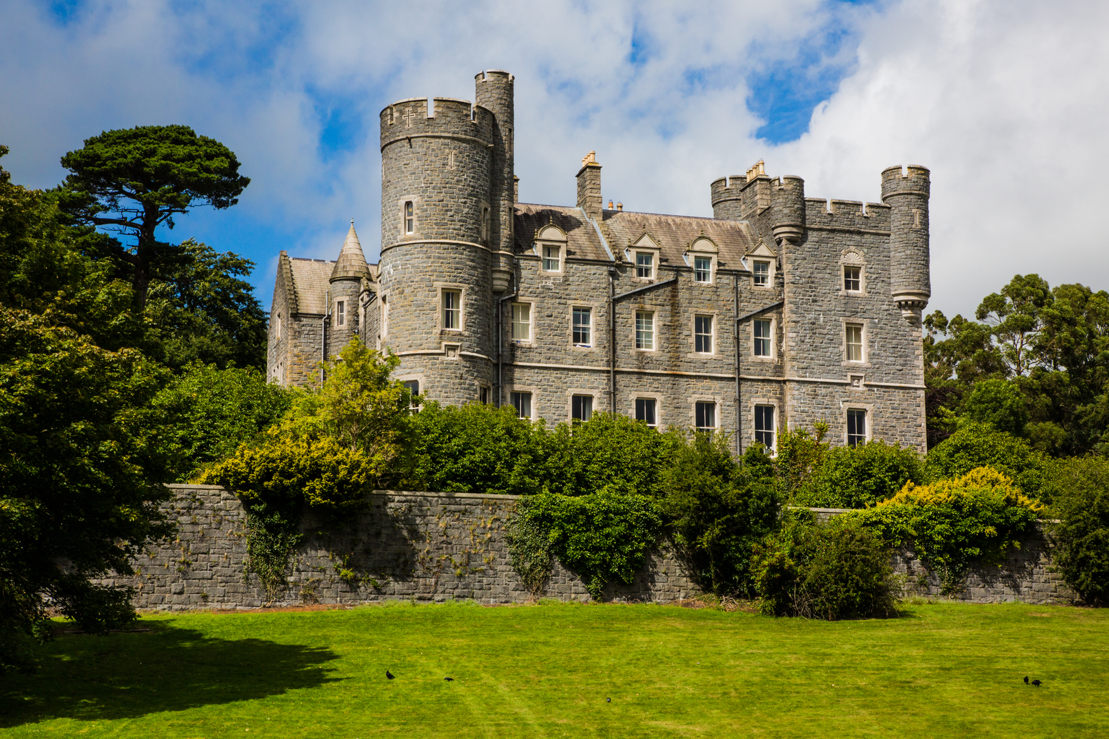 An image depicting the trail Castlewellan Forest Park - Cypress Pond Walk and its surrounding area.
