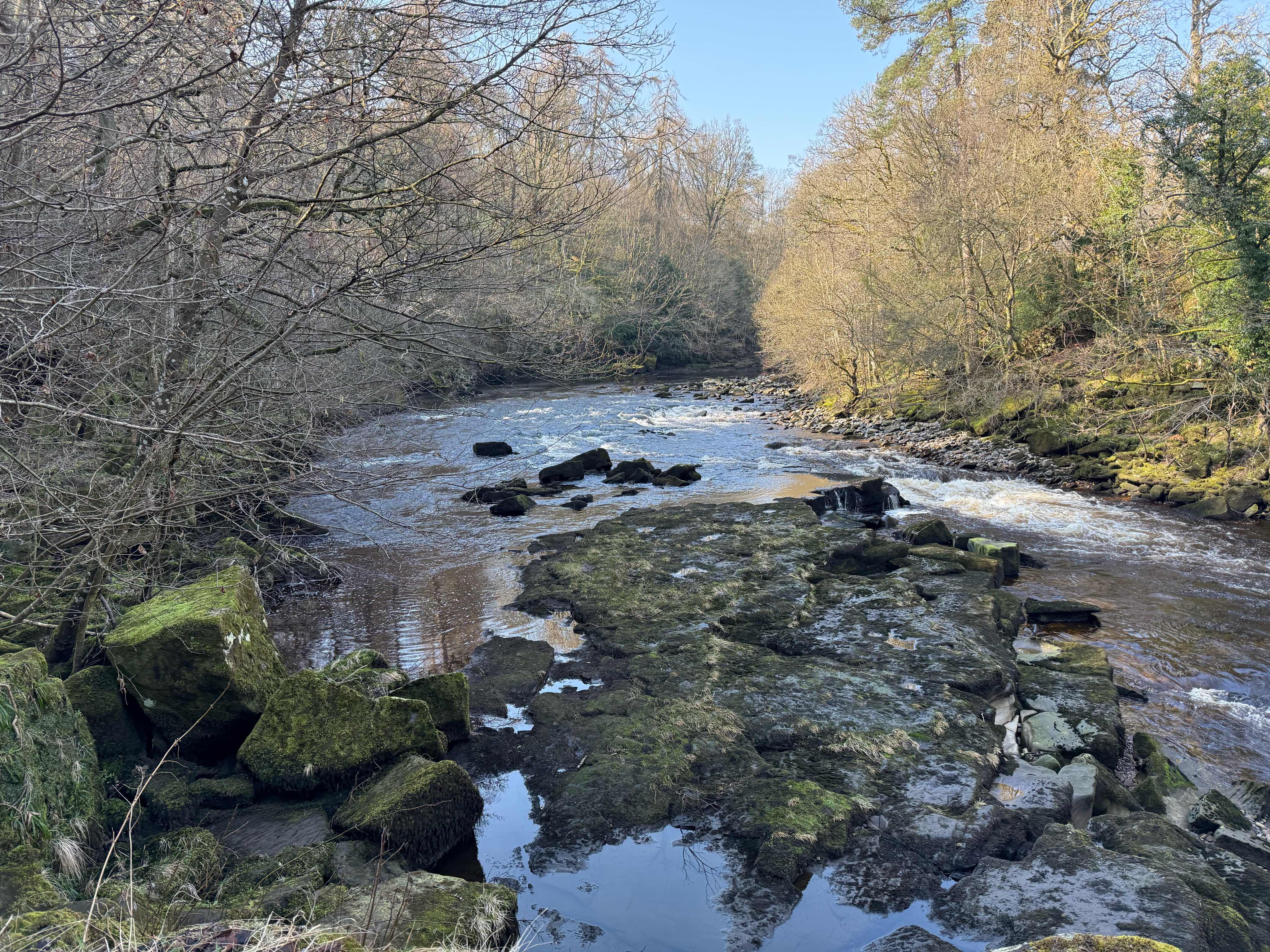 A map preview of the recording Cotherstone Eggleston bridge loop.