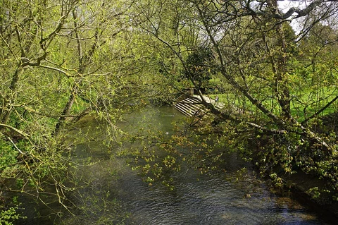 Newport Pagnell Walk