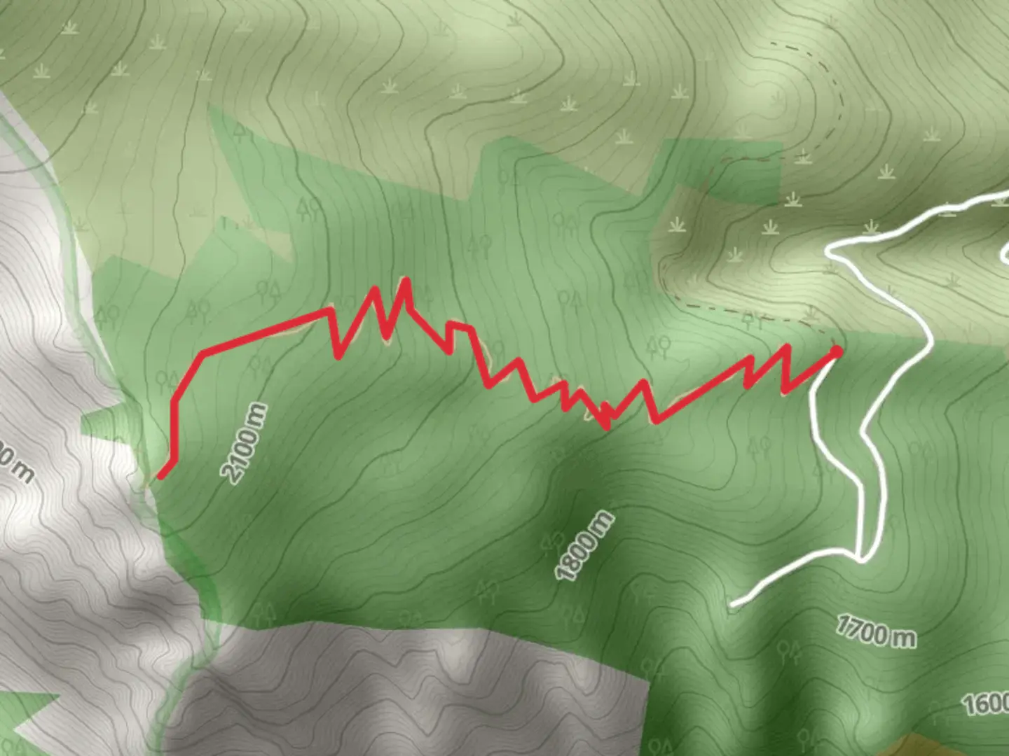An image depicting the trail Bear Creek Overlook Trail from Bear Creek Overlook Trail Road and its surrounding area.