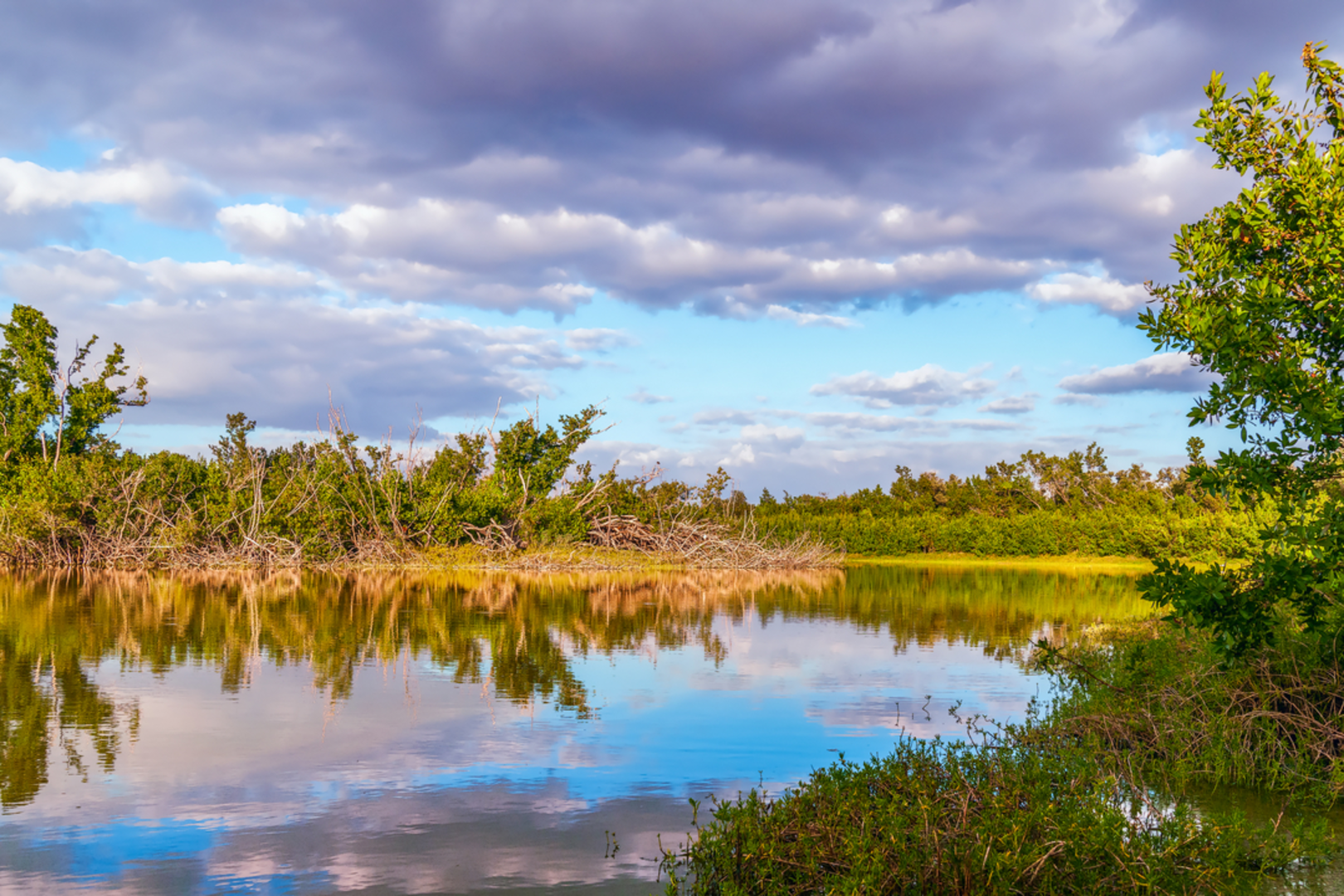 An image depicting the trail Eco Pond Trail and its surrounding area.