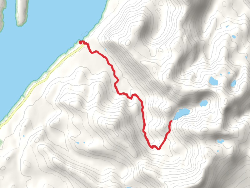 Lunch Creek Trail