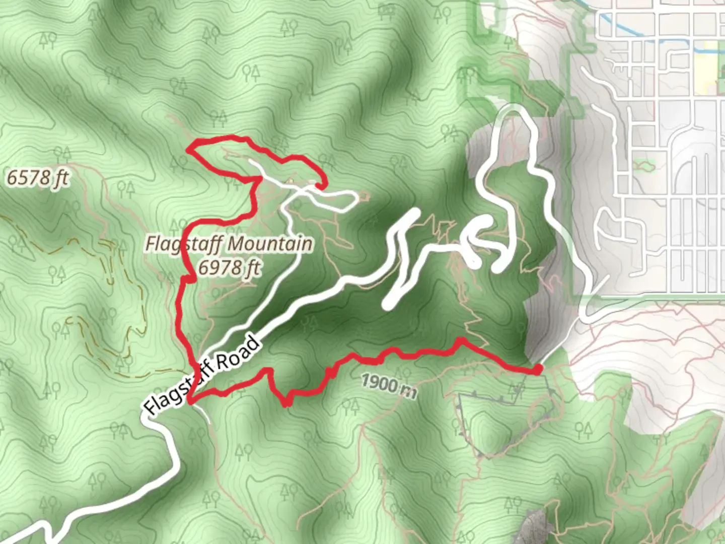 An image depicting the trail Gregory Canyon and Boy Scout Trail and its surrounding area.