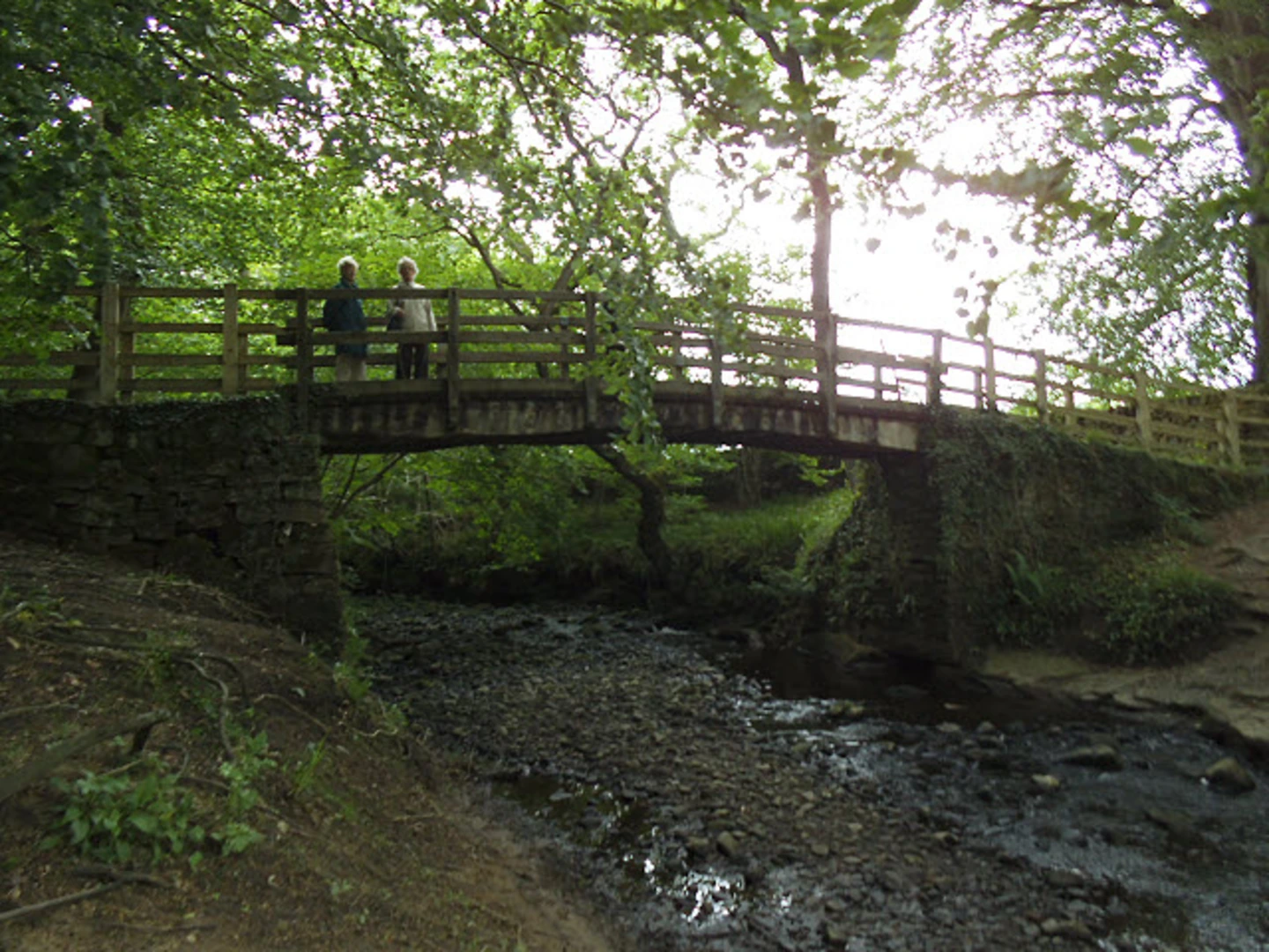 An image depicting the trail Bolton Bridge to Barden Loop via River Wharfe and its surrounding area.