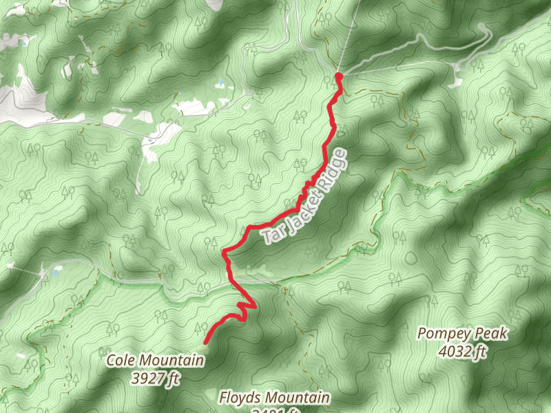 Salt Log Gap and Hog Camp Gap
