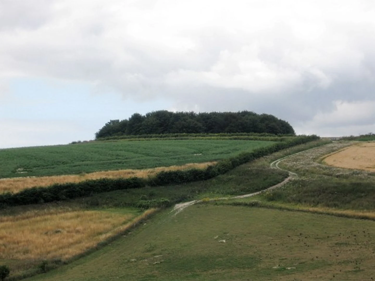 An image depicting the trail Angmering Park Gallops Loop - Burpham and its surrounding area.