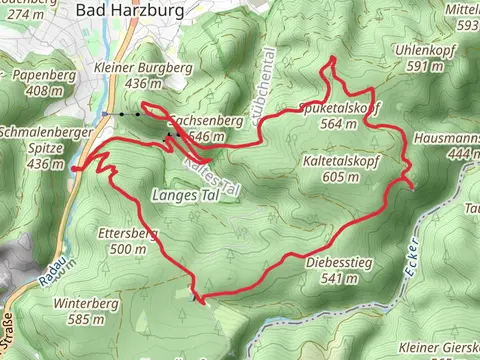 Hasselteich, Tiefe Kohlstelle and Burgberg Loop