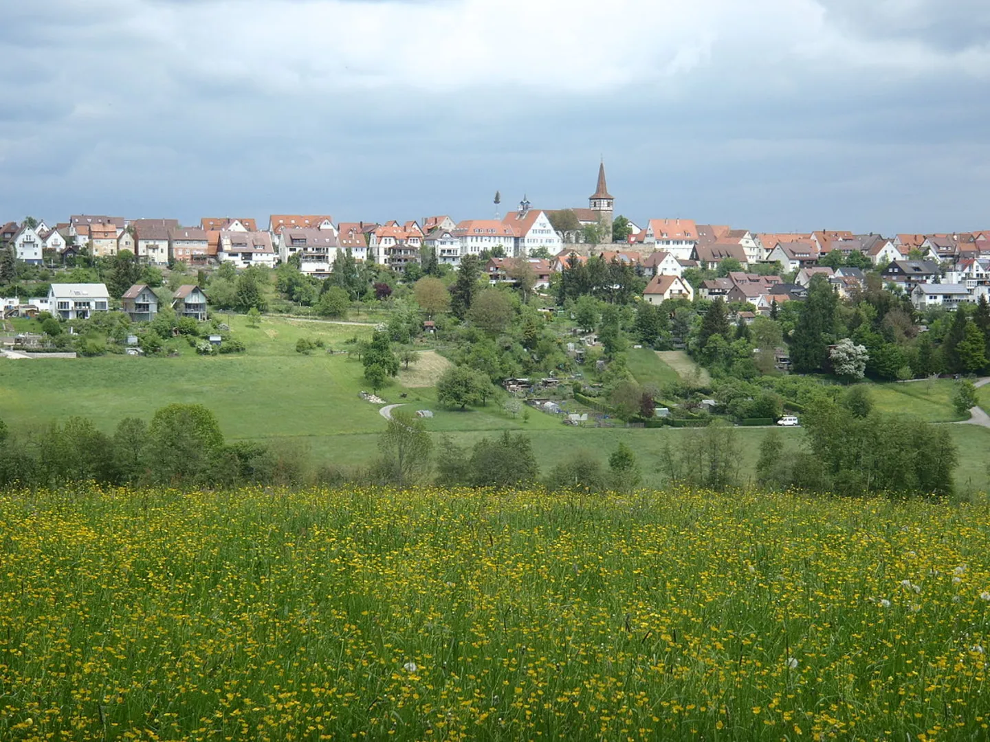 An image depicting the trail Jungholzwald, Saulachenweg and Kohlerweg Loop and its surrounding area.