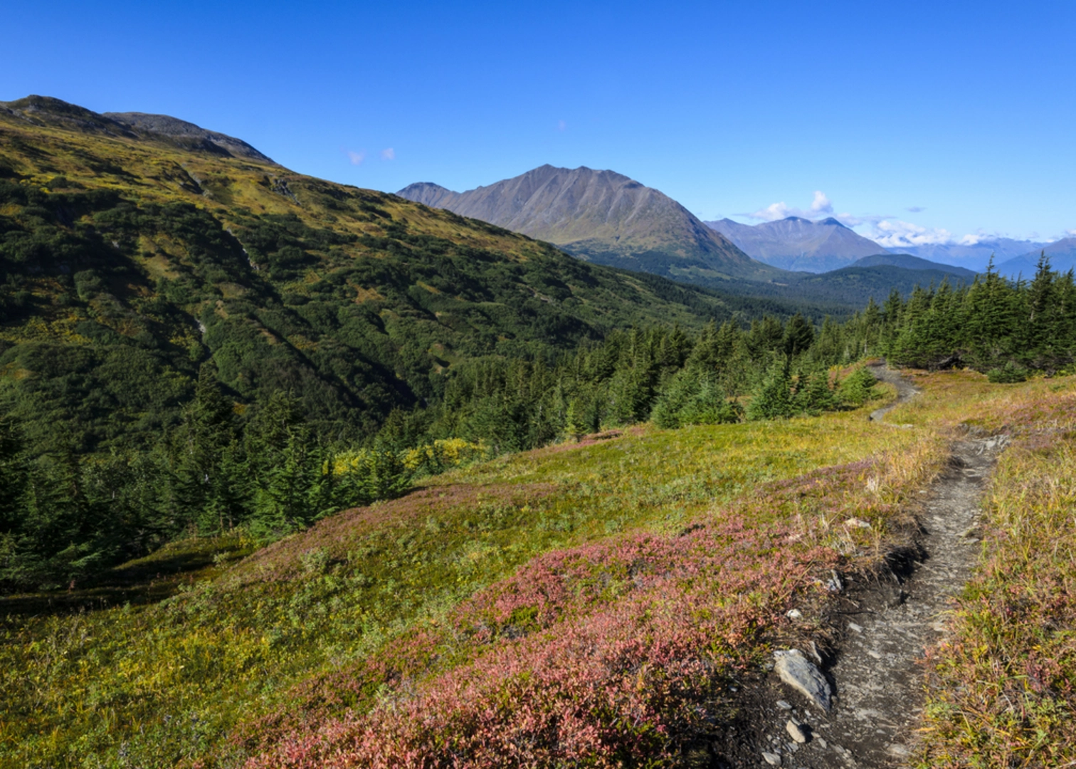 An image depicting the trail Lost Lake Trail and its surrounding area.