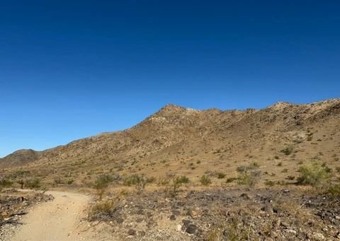 Cholla Flats Loop via Busera and Lost Ranch Trail
