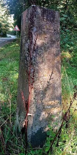 Auf Aussichtsreichen Hoehen and Rundwanderweg A1