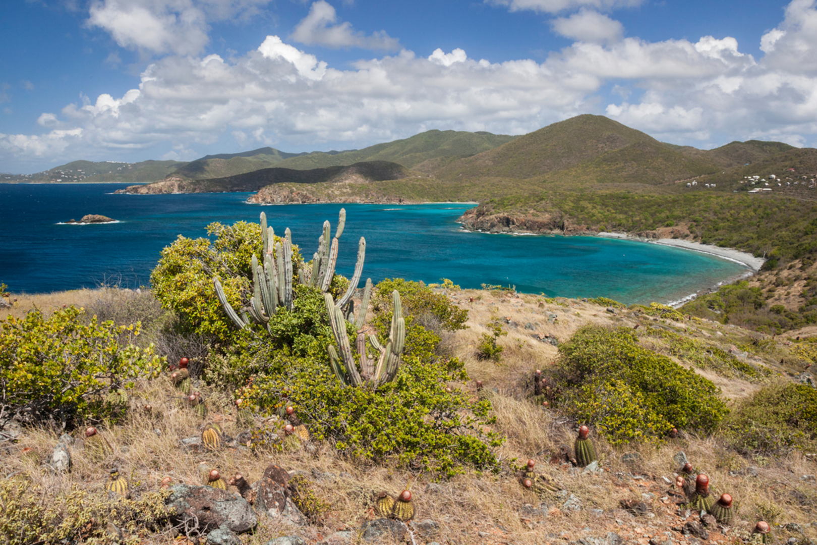 An image depicting the trail Salt Pond Bay Trail and its surrounding area.