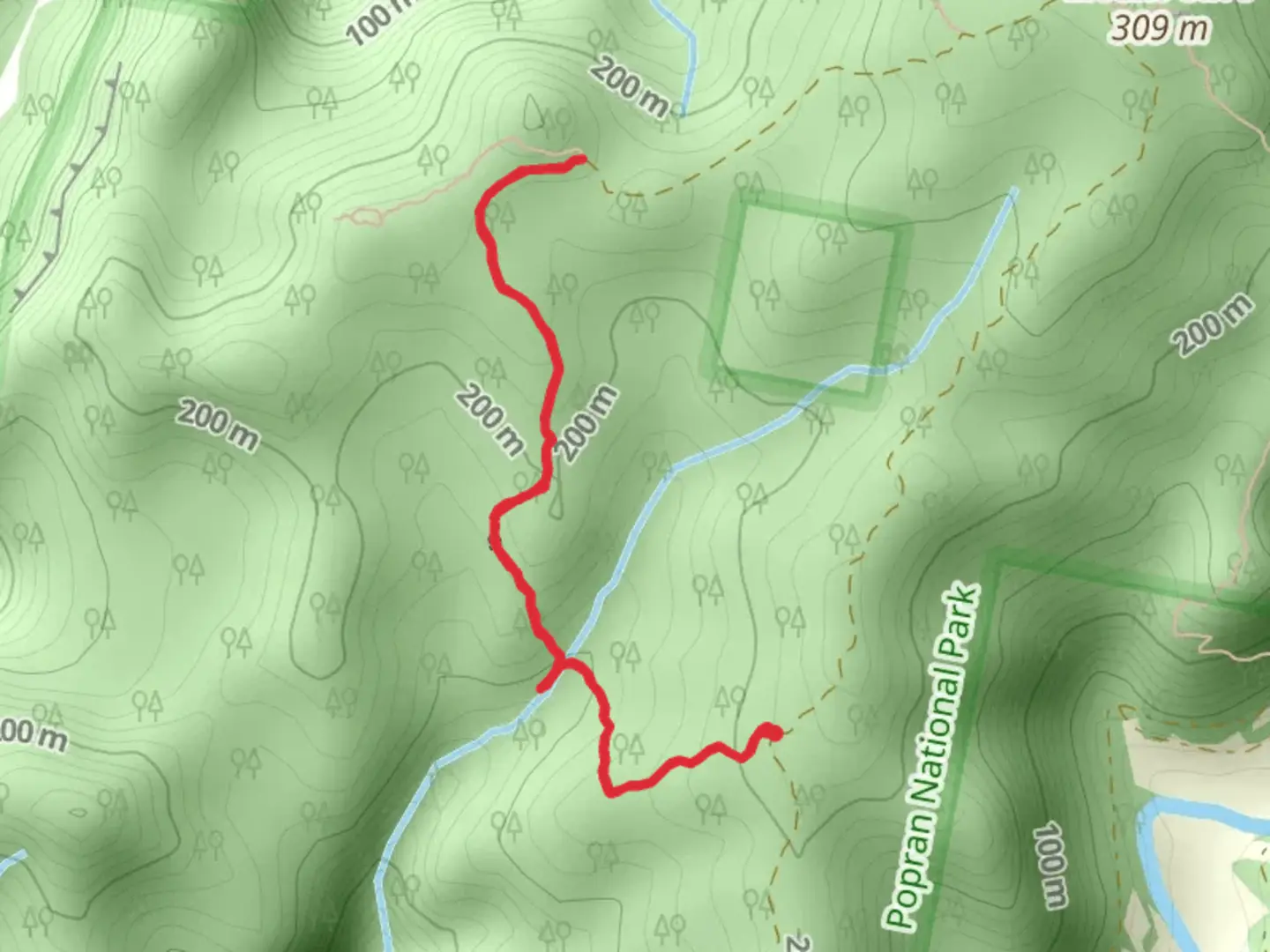 An image depicting the trail Hominy Creek Track and its surrounding area.