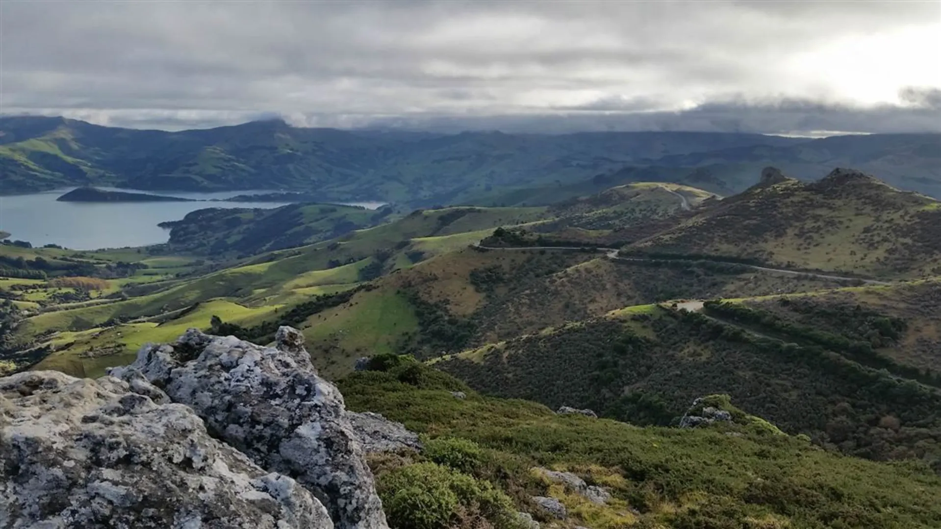 An image depicting the trail Ōtepatotu Scenic Reserve Walk and its surrounding area.