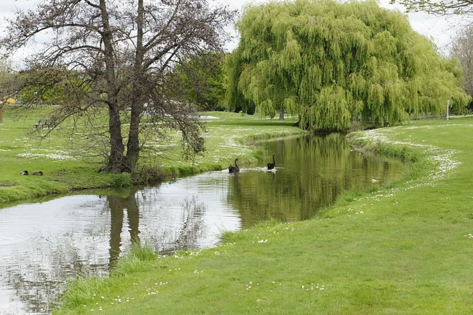 An image depicting the trail Anderson Park Loop and its surrounding area.