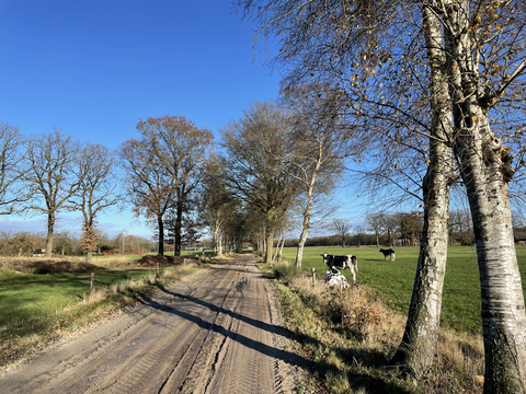 Remmersbos and Helhuizen Loop