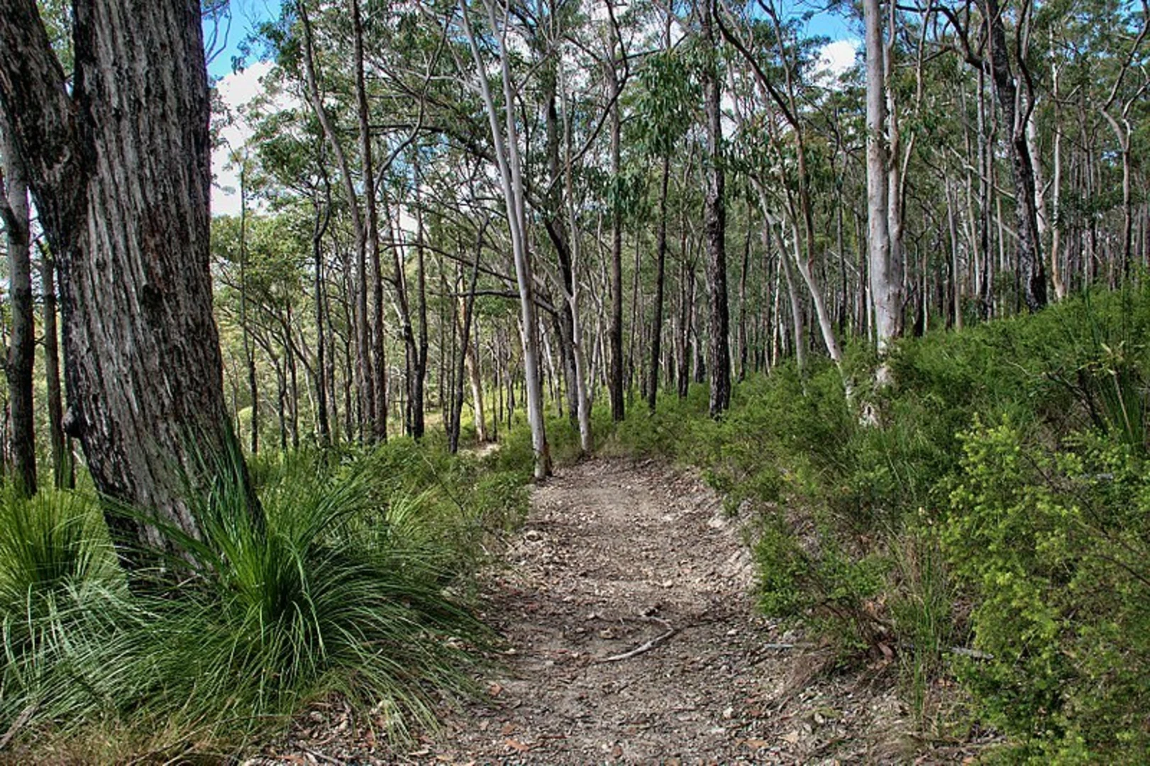 An image depicting the trail Somerset Trail and its surrounding area.