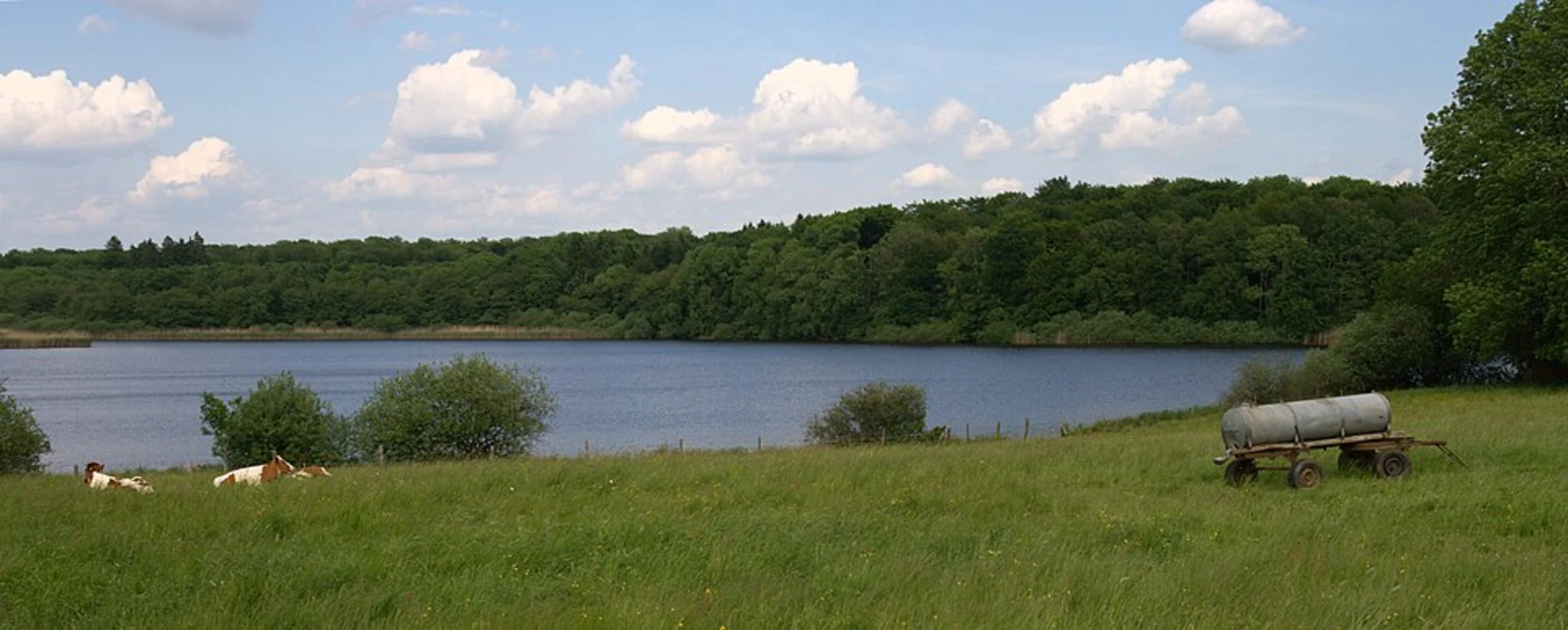 An image depicting the trail Westerwaldsteig and its surrounding area.