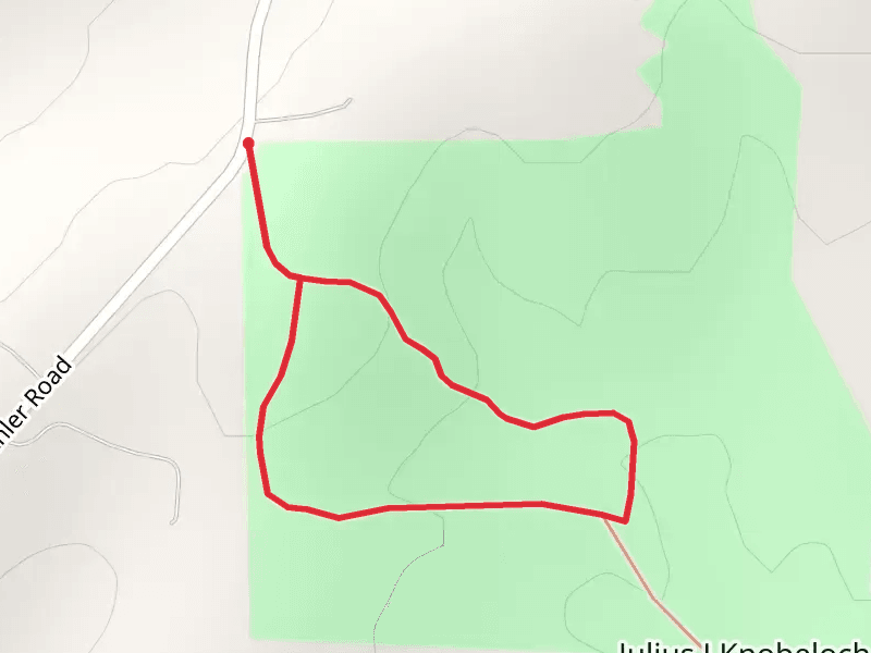 Rentchler Road Loop