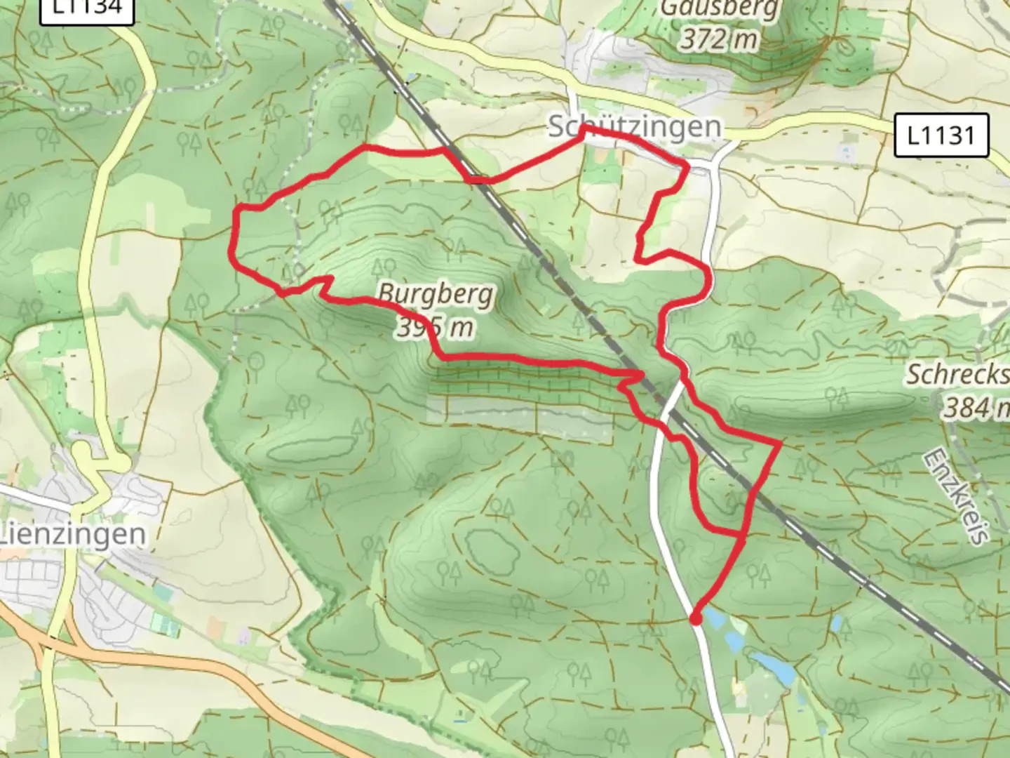 An image depicting the trail Neue Weinberge, Burgberg and Speierling Loop and its surrounding area.