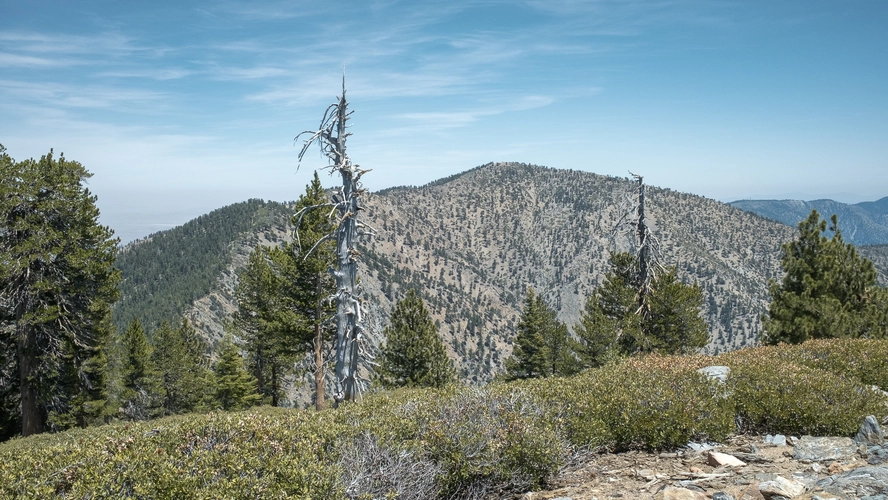 Mount Burnham and Mount Baden-Powell via Silver Moccasin Trail