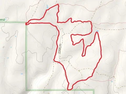 Mavericks Trail
