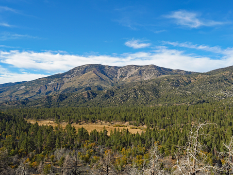 Bay Area Ridge Trail