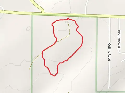 Timberdoodle Flats Interpretive Trail
