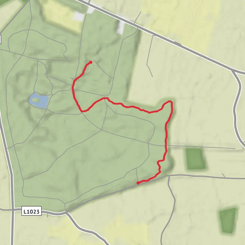 Hike from Kildare mobile static map