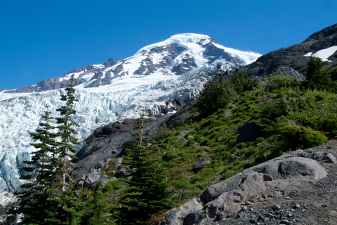 Heliotrope Ridge Trail