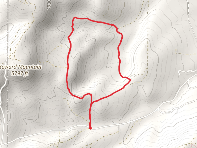 West Trail Creek Road Loop - North