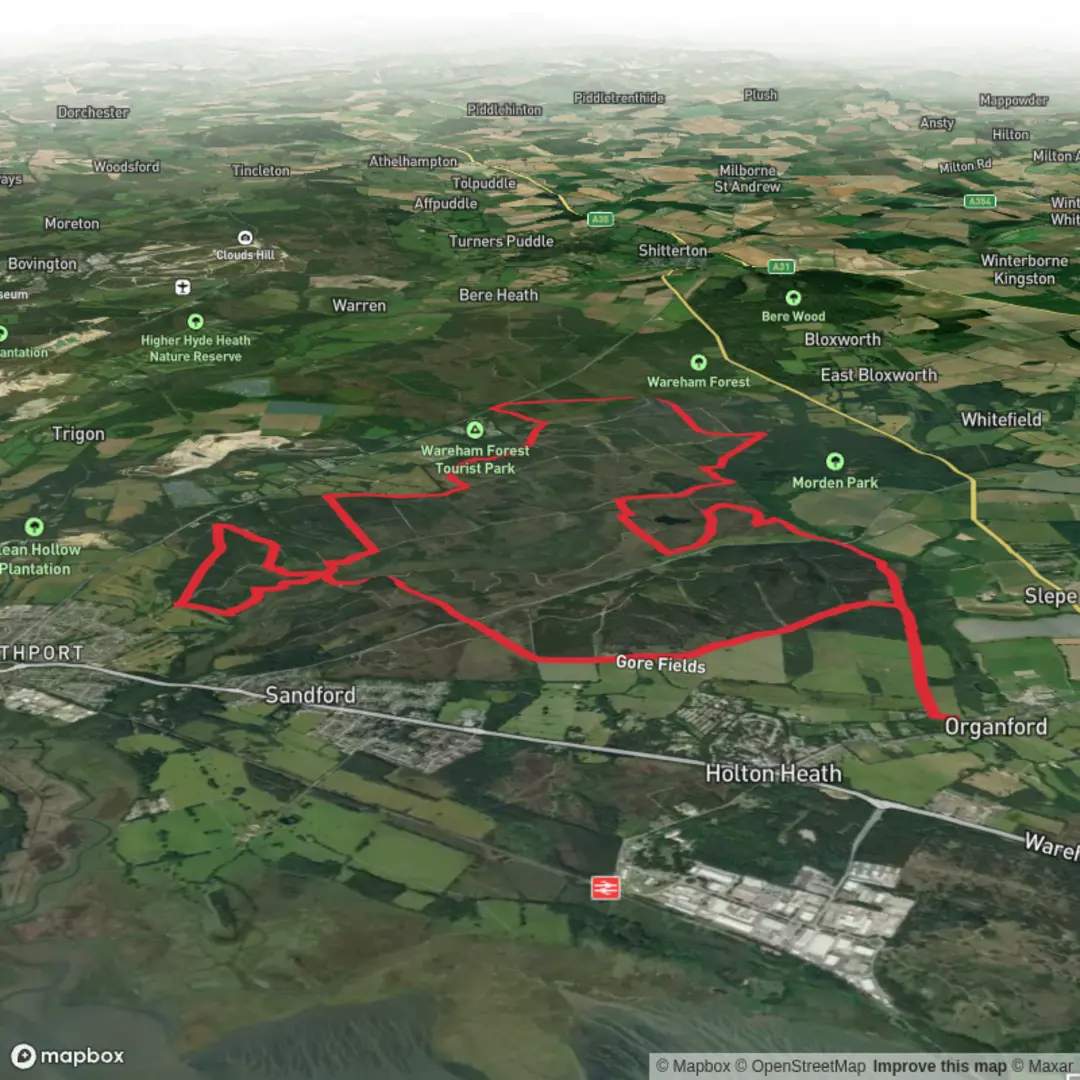 An image depicting the trail Northport Heath, Woolsbarrow Fort and Morden Bog Reserve Loop and its surrounding area.