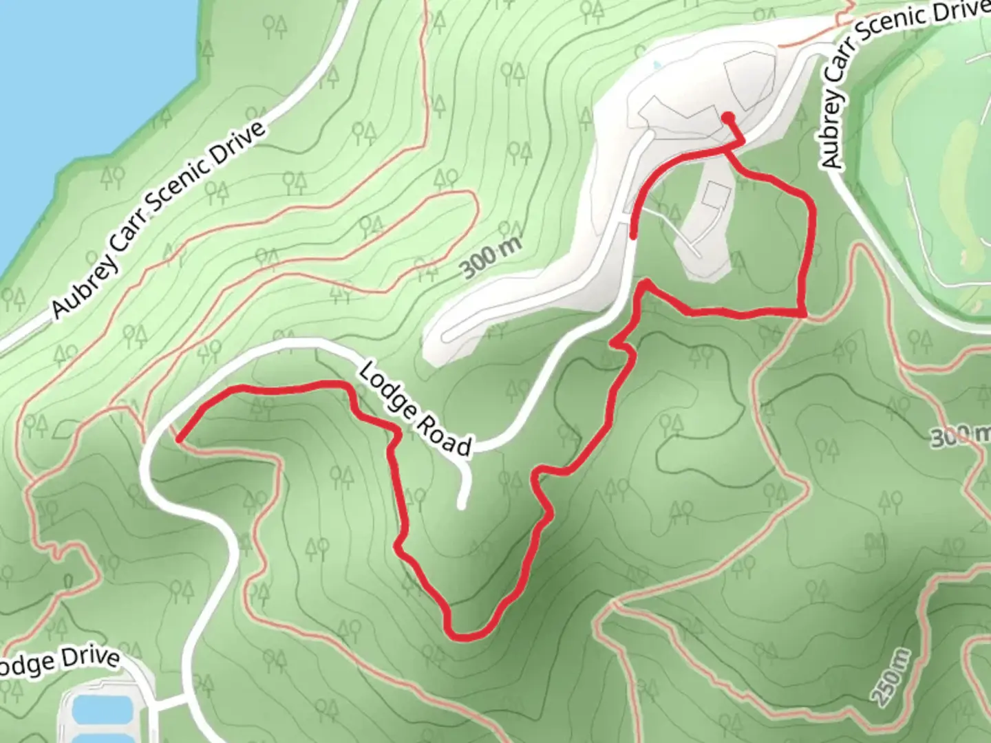 An image depicting the trail Butler Pass Trail and its surrounding area.
